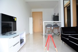 Eight Riversuites (D12), Condominium #217370351